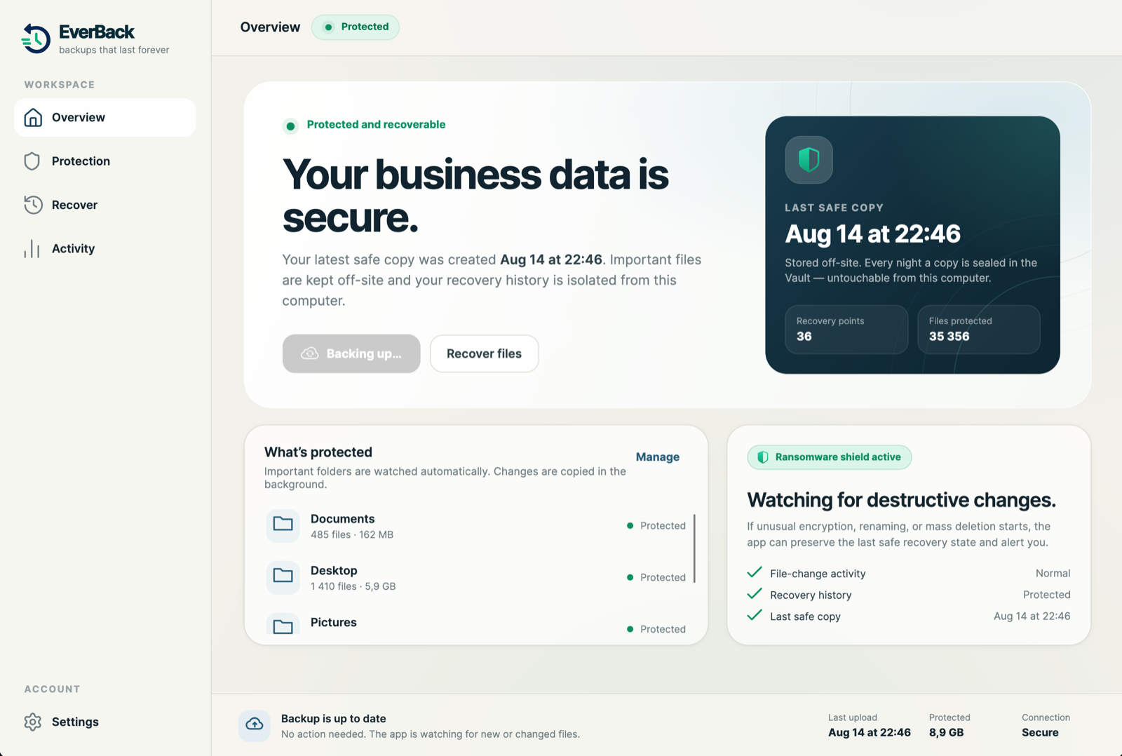 EverBack Overview: one screen saying whether your files are safe